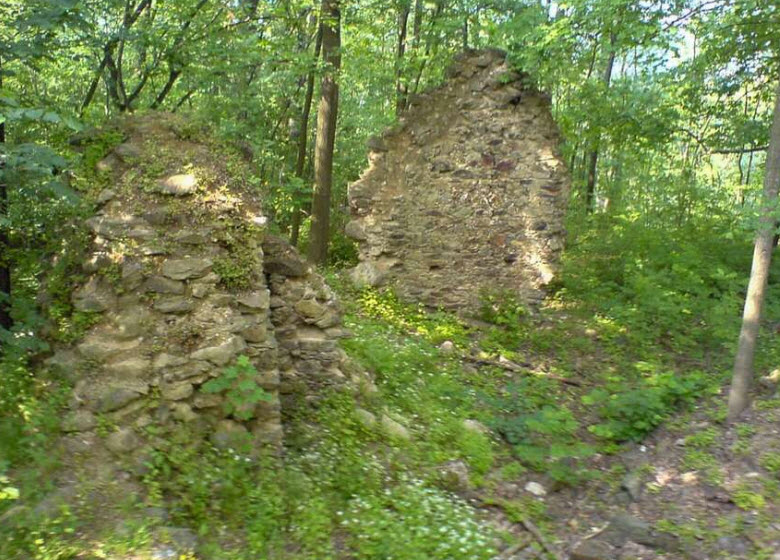 Zřícenina Hradu Pušperk, Czech Republic (Czechia)